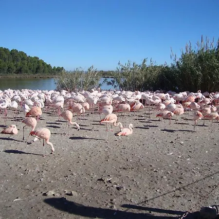 Escapades Ensoleillees Climatisation Television Camping 3*