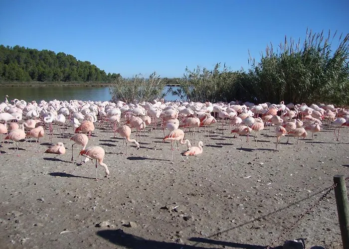 Escapades Ensoleillees Climatisation Television Campingplads 3*